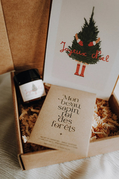 Coffret  Mon beau sapin Pomy
