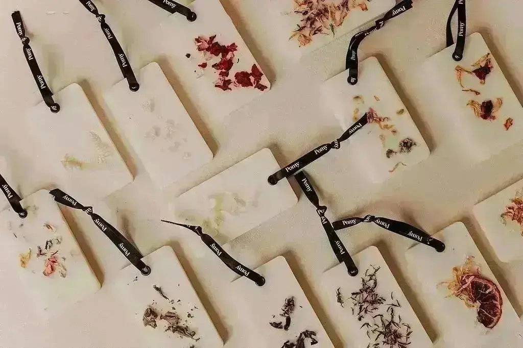 Palet Botanique Nuage de coton Pomy