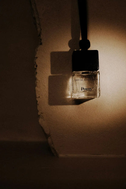 Diffuseur de voiture – Amore Pomy