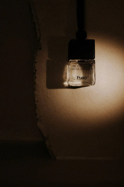 Diffuseur de voiture – Hossegor Pomy